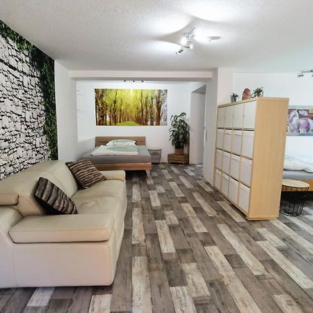 Ferienwohnung - Appartement "Painted Horse" Im Herzen Des Pfaelzer Waldes Reichenbach-Steegen Екстер'єр фото
