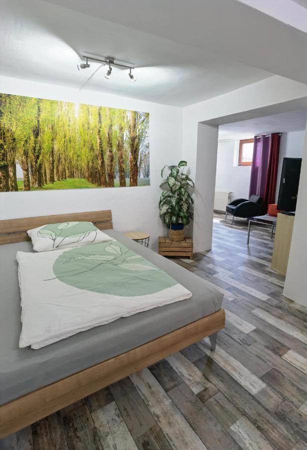 Ferienwohnung - Appartement "Painted Horse" Im Herzen Des Pfaelzer Waldes Reichenbach-Steegen Екстер'єр фото