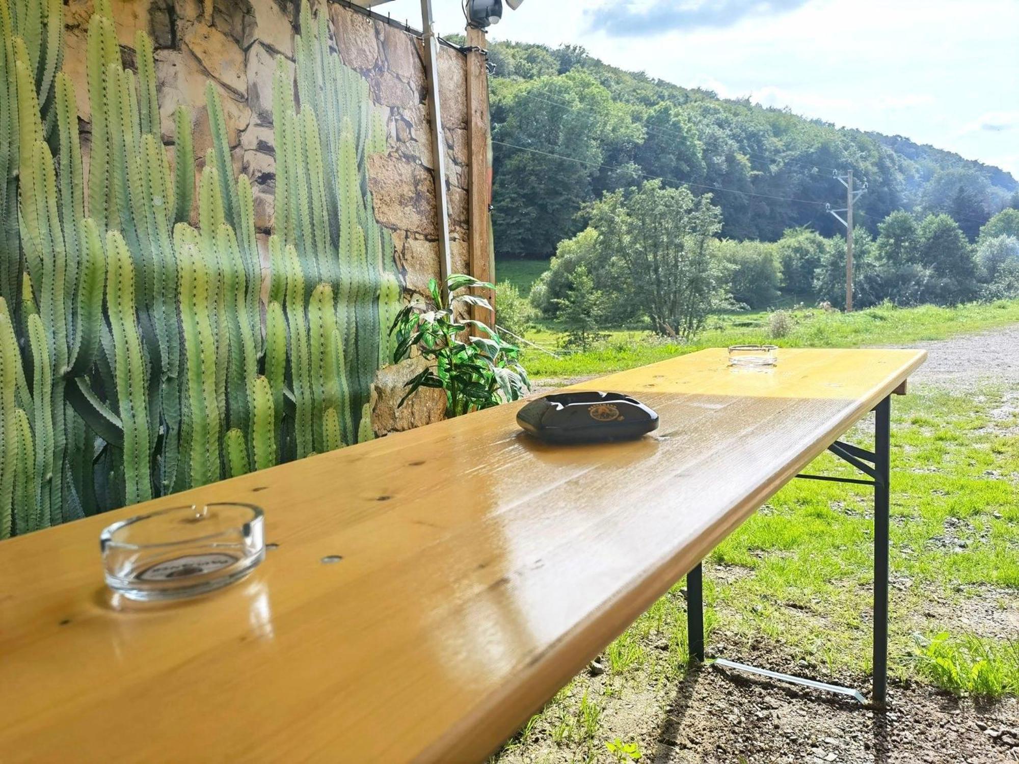 Ferienwohnung - Appartement "Painted Horse" Im Herzen Des Pfaelzer Waldes Reichenbach-Steegen Екстер'єр фото